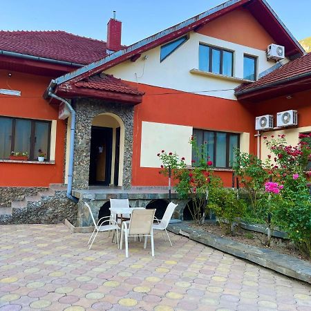 Pensiunea Orhideea Baile Herculane Ngoại thất bức ảnh